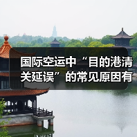 国际空运中“目的港清关延误”的常见原因有哪些?如何解决(图2) 国际空运中“目的港清关延误”的常见原因有哪些?如何解决(图2)