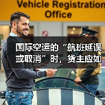 国际空运的“航班延误或取消”时，货主应如何应对（国际空运干货知识分享）（图2）