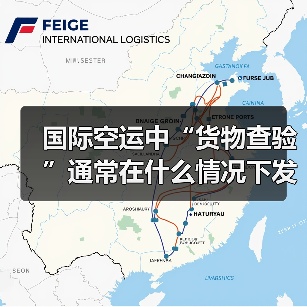 国际空运中“货物查验”通常在什么情况下发生(如何配合查验)(图4) 国际空运中“货物查验”通常在什么情况下发生(如何配合查验)(图4)