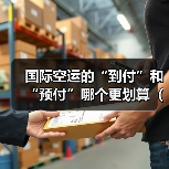 国际空运的“到付”和“预付”哪个更划算(国际空运干货知识分享)(图4) 国际空运的“到付”和“预付”哪个更划算(国际空运干货知识分享)(图4)