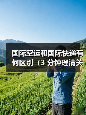 国际空运和国际快递有何区别(3 分钟理清关键差异)(图4) 国际空运和国际快递有何区别(3 分钟理清关键差异)(图4)