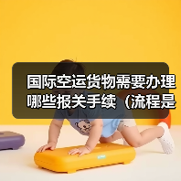 国际空运货物需要办理哪些报关手续(流程是怎样的)(图2) 国际空运货物需要办理哪些报关手续(流程是怎样的)(图2)