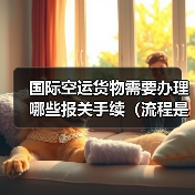 国际空运货物需要办理哪些报关手续(流程是怎样的)(图3) 国际空运货物需要办理哪些报关手续(流程是怎样的)(图3)