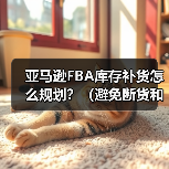 亚马逊FBA库存补货怎么规划?(避免断货和积压的技巧是什么)(图3) 亚马逊FBA库存补货怎么规划?(避免断货和积压的技巧是什么)(图3)