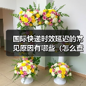 国际快递时效延迟的常见原因有哪些(怎么查询延迟进度)(图1) 国际快递时效延迟的常见原因有哪些(怎么查询延迟进度)(图1)