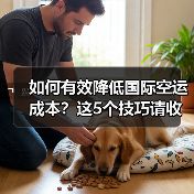如何有效降低国际空运成本?这5个技巧请收好(国际空运干货知识分享)(图4) 如何有效降低国际空运成本?这5个技巧请收好(国际空运干货知识分享)(图4)