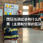 国际海运提单有什么作用（主单和分单的区别是什么）（图4）