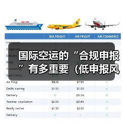 国际空运的“合规申报”有多重要(低申报风险解析)(图2) 国际空运的“合规申报”有多重要(低申报风险解析)(图2)