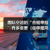 国际空运的“合规申报”有多重要(低申报风险解析)(图3) 国际空运的“合规申报”有多重要(低申报风险解析)(图3)