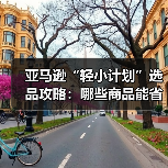 亚马逊“轻小计划”选品攻略:哪些商品能省运费、赚更高利润(图2) 亚马逊“轻小计划”选品攻略:哪些商品能省运费、赚更高利润(图2)