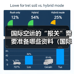 国际空运的“报关”需要准备哪些资料(国际空运干货知识分享)(图4) 国际空运的“报关”需要准备哪些资料(国际空运干货知识分享)(图4)
