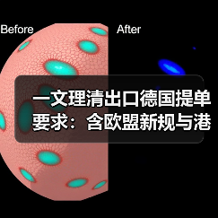 一文理清出口德国提单要求:含欧盟新规与港口特殊条款(跨境电商卖家请注意)(图3) 一文理清出口德国提单要求:含欧盟新规与港口特殊条款(跨境电商卖家请注意)(图3)