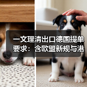 一文理清出口德国提单要求:含欧盟新规与港口特殊条款(跨境电商卖家请注意)(图2) 一文理清出口德国提单要求:含欧盟新规与港口特殊条款(跨境电商卖家请注意)(图2)