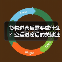 货物进仓后需要做什么?空运进仓后的关键注意事项(图4) 货物进仓后需要做什么?空运进仓后的关键注意事项(图4)