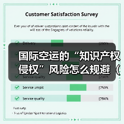 国际空运的“知识产权侵权”风险怎么规避(不清楚的跨境电商卖家看过来)(图4) 国际空运的“知识产权侵权”风险怎么规避(不清楚的跨境电商卖家看过来)(图4)