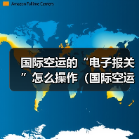 国际空运的“电子报关”怎么操作（国际空运干货知识分享）（图4）