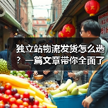 独立站物流发货怎么选?一篇文章带你全面了解(图4) 独立站物流发货怎么选?一篇文章带你全面了解(图4)