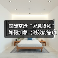 国际空运“紧急货物”如何加急(时效能缩短多少?成本增加多少)(图3) 国际空运“紧急货物”如何加急(时效能缩短多少?成本增加多少)(图3)