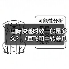 国际快递时效一般是多久?(直飞和中转差几天)(图3) 国际快递时效一般是多久?(直飞和中转差几天)(图3)