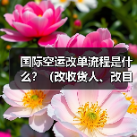 国际空运改单流程是什么?(改收货人、改目的港需要哪些资料)(图1) 国际空运改单流程是什么?(改收货人、改目的港需要哪些资料)(图1)