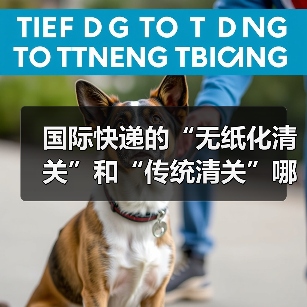 国际快递的“无纸化清关”和“传统清关”哪个更快(需要准备的材料有区别吗)(图1) 国际快递的“无纸化清关”和“传统清关”哪个更快(需要准备的材料有区别吗)(图1)