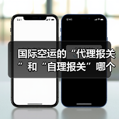 国际空运的“代理报关”和“自理报关”哪个更高效(国际空运干货知识分享)(图2) 国际空运的“代理报关”和“自理报关”哪个更高效(国际空运干货知识分享)(图2)