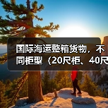 国际海运整箱货物，不同柜型（20尺柜、40尺柜）的运费差异有多大（不清楚的卖家看过来）