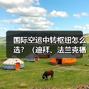 国际空运中转枢纽怎么选?(迪拜、法兰克福、仁川港各有什么优势)(图4) 国际空运中转枢纽怎么选?(迪拜、法兰克福、仁川港各有什么优势)(图4)