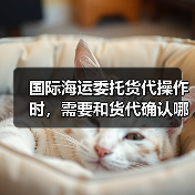 国际海运委托货代操作时，需要和货代确认哪些关键信息（国际海运干货知识分享）（图1）