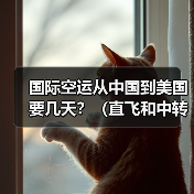 国际空运从中国到美国要几天？（直飞和中转时效差多少）（图3）