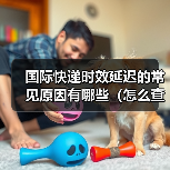 国际快递时效延迟的常见原因有哪些(怎么查询延迟进度)(图4) 国际快递时效延迟的常见原因有哪些(怎么查询延迟进度)(图4)