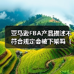 亚马逊FBA产品描述不符合规定会被下架吗（合规写法有哪些）（图1）
