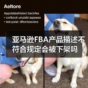 亚马逊FBA产品描述不符合规定会被下架吗（合规写法有哪些）（图3）