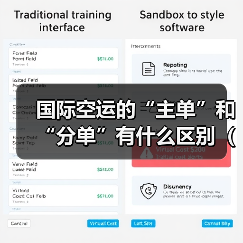 国际空运的“主单”和“分单”有什么区别(国际空运干货知识分享)(图4) 国际空运的“主单”和“分单”有什么区别(国际空运干货知识分享)(图4)