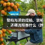整箱海运的提箱、装箱、还箱流程是什么(跨境电商卖家需要注意什么)(图4) 整箱海运的提箱、装箱、还箱流程是什么(跨境电商卖家需要注意什么)(图4)