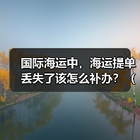 国际海运中，海运提单丢失了该怎么补办？（会影响提货吗）（图2）
