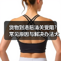 货物到港后清关受阻?常见原因与解决办法大全(国际海运干货知识分享)(图2) 货物到港后清关受阻?常见原因与解决办法大全(国际海运干货知识分享)(图2)