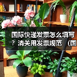 国际快递发票怎么填写？清关用发票规范 （国际快递干货知识分享）（图1）