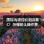 国际海运报价别漏看THC！忽视码头操作费，可能多花数千元（跨境卖家请注意）（图4）