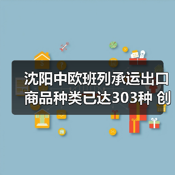 沈阳中欧班列承运出口商品种类已达303种 创历史新高(图3) 沈阳中欧班列承运出口商品种类已达303种 创历史新高(图3)