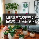 新能源产品空运有哪些特殊要求？电池类货物运输规范（图2）