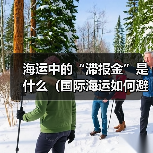 海运中的“滞报金”是什么(国际海运如何避免产生滞报金)(图2) 海运中的“滞报金”是什么(国际海运如何避免产生滞报金)(图2)