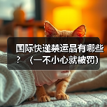 国际快递禁运品有哪些?(一不小心就被罚)(图2) 国际快递禁运品有哪些?(一不小心就被罚)(图2)