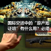 国际空运中的“原产地证明”有什么用?必须提供吗(图1) 国际空运中的“原产地证明”有什么用?必须提供吗(图1)