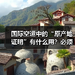 国际空运中的“原产地证明”有什么用?必须提供吗(图2) 国际空运中的“原产地证明”有什么用?必须提供吗(图2)