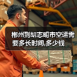 郴州到胡志明市空运需要多长时间,多少钱(图2) 郴州到胡志明市空运需要多长时间,多少钱(图2)