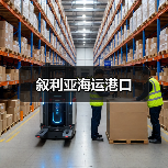 叙利亚海运港口（图4）