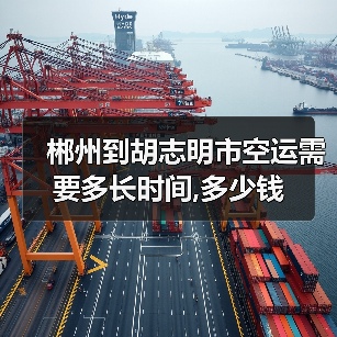 郴州到胡志明市空运需要多长时间,多少钱(图4) 郴州到胡志明市空运需要多长时间,多少钱(图4)