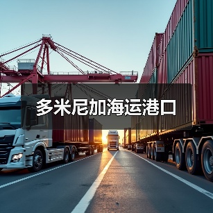 多米尼加海运港口（图3）