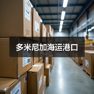 多米尼加海运港口（图4）